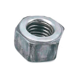 OEM SS316 عرافة رئيس المكسرات ، الأبيض الزنك مطلي الحديد متري البندق سمك مخصص